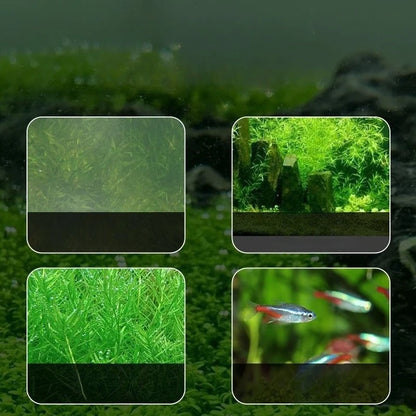 Juego de herramientas para plantas acuáticas de 35 cm/38 cm, tijeras, aplanador de arena y podador de plantas acuáticas para mantenimiento de peceras.