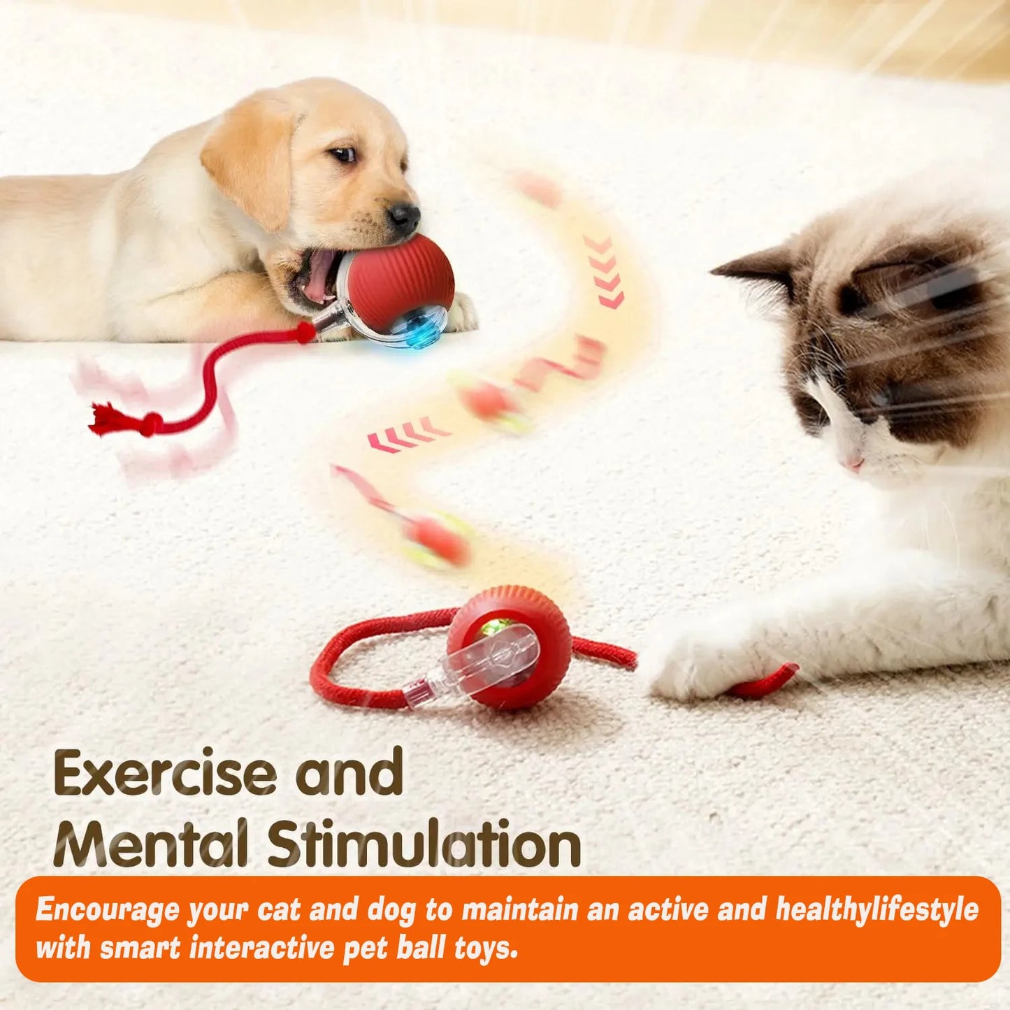 Nuevo Juguete Interactivo de Pelota para Perros.