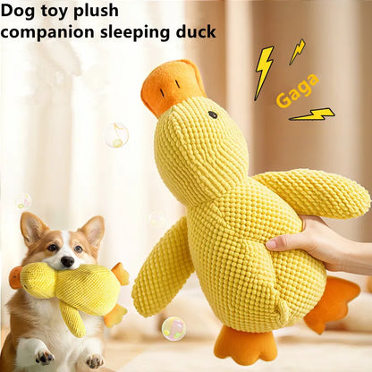 Juguete de Peluche para Perro