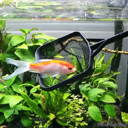 Red de pesca portátil de mango largo cuadrada, accesorios para acuario, red de pesca, red de cuchara, red de alta calidad para pecera, 3 tamaños